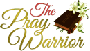thepraywarrior test